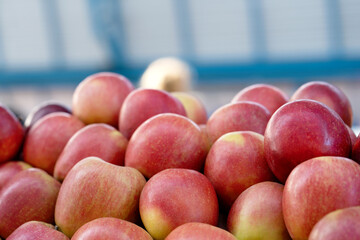 Red apples on a market stall. Yummy pile of apples in a market stall. Close-up