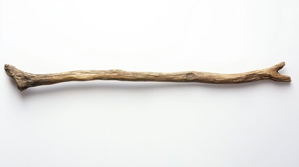 Weathered Light Brown Twig on White Background
