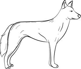 Dingo hand drawn outline vector