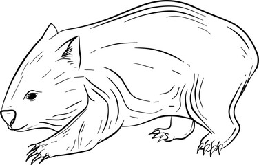 Wombat hand drawn outline vector