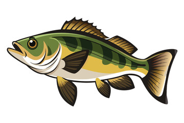 Vector Illustration of a Bass Fish Isolated on White Background.