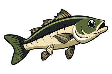 Vector Illustration of a Bass Fish Isolated on White Background.