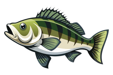 Vector Illustration of a Bass Fish Isolated on White Background.