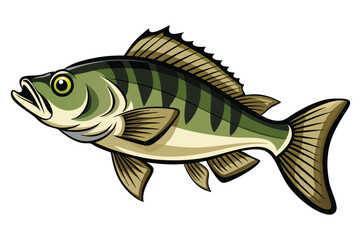 Vector Illustration of a Bass Fish Isolated on White Background.