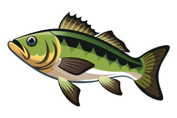 Vector Illustration of a Bass Fish Isolated on White Background.