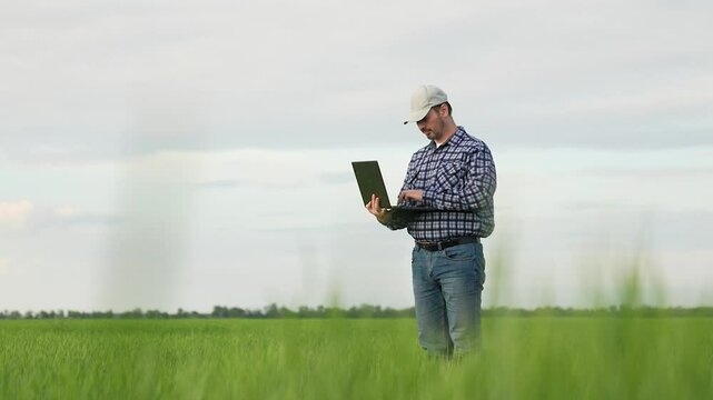 entrepreneur farming, farmig modern technology, farmer agronomist with laptop working wheat field, green wheat, working farmer working green farm summer, male agrotechnician digital laptop, farming