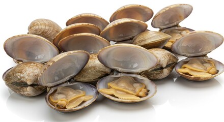 A pile of opened clams with some showing the meat inside on a white reflective surface close up view