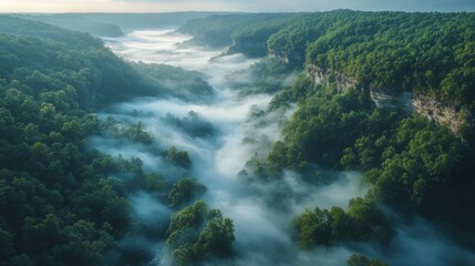 Obraz premium Drone view, panoramic view of forest and fields, aerial view, orange sky and gray clouds, sunset sun. Ariel view of the forests, fields, lake sky, sun, clouds, rivers, bays.