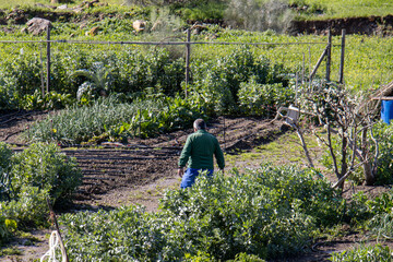 man working in countryside garden