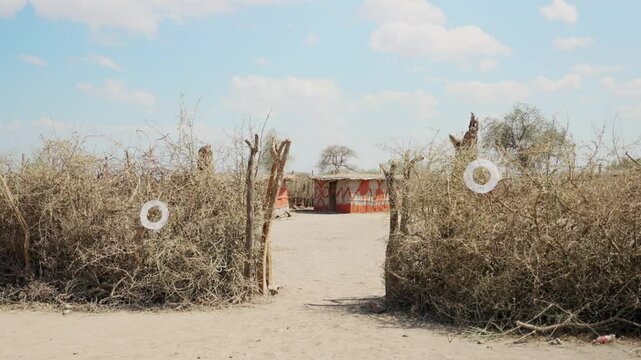 Entrance gate and fence to Maasai or Masai village or tribe in Tanzania Africa. Traditional building technics. Protection from animals and wildlife. Tourist attraction to meet local indigenous people 