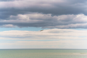Bird flies over a calm sea under layered clouds.