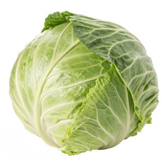 Obraz premium cabbage isolated on transparent background