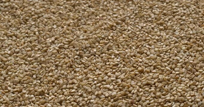 Unhulled sesame seeds background texture. A common ingredient in cuisines worldwide. Selective focus. Table spin. 