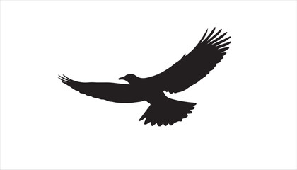 A Silhouette of a bird