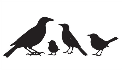A group of birds with their babies