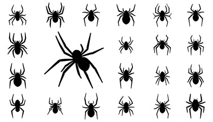A collection of spider silhouettes, various poses and sizes. A set of spider illustrations with different body shapes and species. 