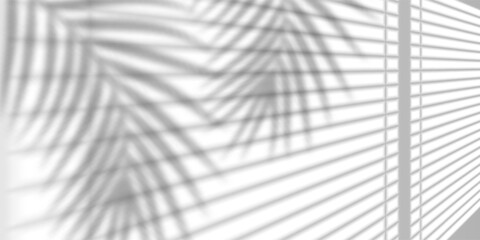 Window Light Shadow on Wall with Tropical Leaf Reflection for Minimalist Interior, Nature, and Summer Design Concepts. Vector Illustration