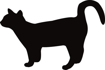 a cat body silhouette vector