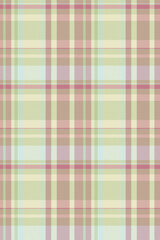Hounds tooth tartan fabric vector, amazing background plaid check. Latin pattern textile seamless texture in light and pastel colors.