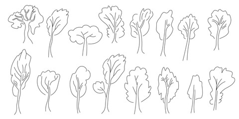 linear tree's collection in doodle style. Objects for design, logo, print, icon, landscape, coloring, background, sticker, postcard.