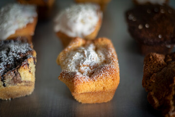 PAN DULCE ARTESANAL TRADICIONAL