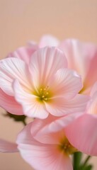 Obraz premium three pink flowers in a vase on a table