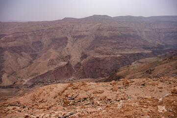 A rocky, barren landscape with a few trees scattered around