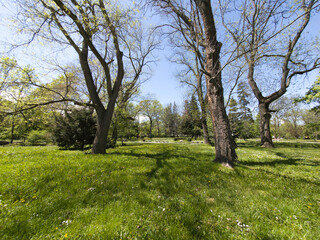 Landscape of Boris Garden in city of Sofia, Bulgaria