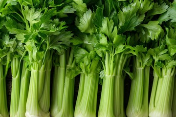 Fototapeta premium Fresh celery stalks arranged neatly against a simple backdrop for culinary exploration and healthy eating