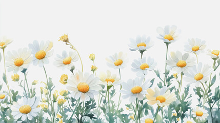 watercolor botanical Chamomile flowers texture template background.Elegant wedding invitation card background . Minimal hand painted Design for wedding or Valentine's Day