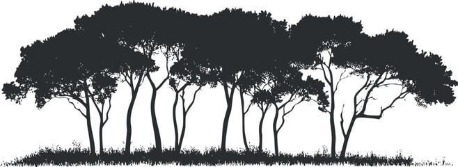 Silhouette of a group of trees with dense foliage and visible trunks on a white background © vadymstock