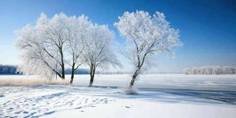 A Serene Winter Landscape Featuring FrostCovered Trees and a Beautiful Frozen Lake