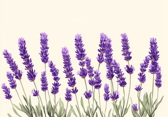 Lavender flowers are depicted in a stylized illustration, which is well-suited for print, textile, and web design purposes