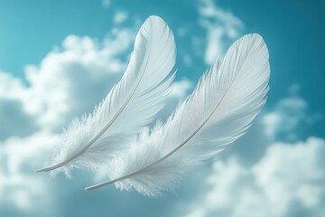 Fototapeta premium White feathers float with blue sky.