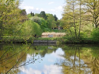 Fototapeta premium Ohlsdorfer Friedhof mit Teich und Parkbank