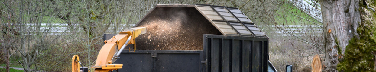 Industrial wood chipping machine feeding into a commercial truck, shredding branches from diseased cottonwood tree that is being removed, spring cleanup and maintanance
