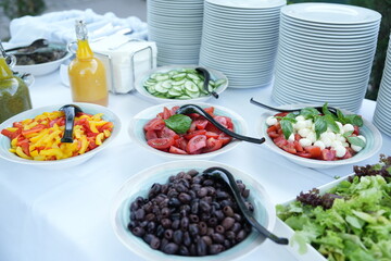 Colorful salad bar featuring chopped bell peppers, ripe tomatoes, crisp cucumbers, creamy mozzarella, black olives, and fresh greens.
