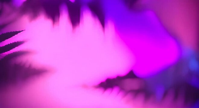 Swaying colorful fern branches under vibrant lights 4K