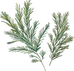 A drawing of a green plant with leaves. The leaves are green and the stem is brown. The drawing is on a white background