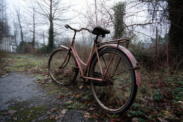 Obraz premium Rusty vintage bicycle abandoned on overgrown path surrounded by leafless trees in foggy winter landscape