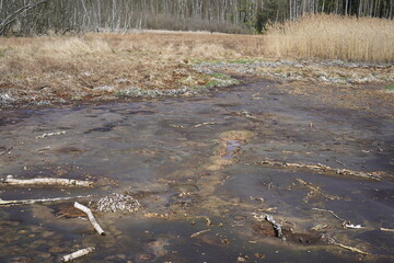 Landscape view at Soos National Nature Reserve (peat bog) at the Frantiskovy Lazne (Czech Republic)