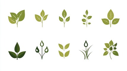 Various Green Leaf Illustrations