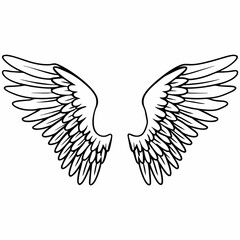 Obraz premium Elegant wings spread wide - line art vector illustration in white background