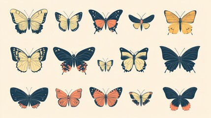 Fototapeta premium Colorful butterfly collection; nature background; insect illustration; design element