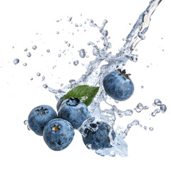 Fresh blueberries with water splash isolated on white background