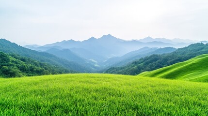 Lush green meadow stretching to misty mountains