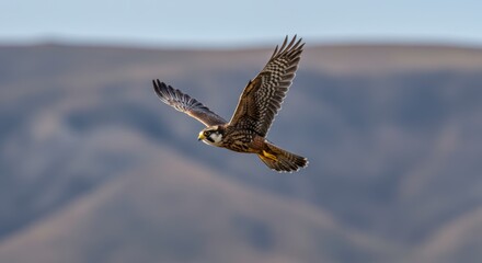 Fototapeta premium Bird Flying Across Mountainous Landscape