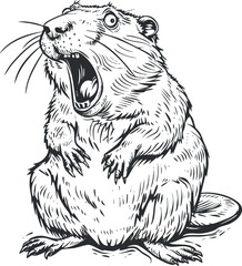Black and white detailed illustration of an aggressive beaver with open mouth showing teeth and claws