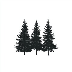 Obraz premium A trio of tall evergreen trees silhouetted against a white background, creating a striking contrast.