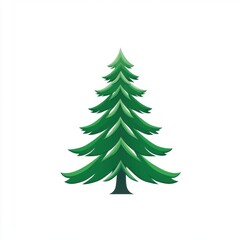Fototapeta premium A vibrant evergreen tree with lush green needles on a white background.